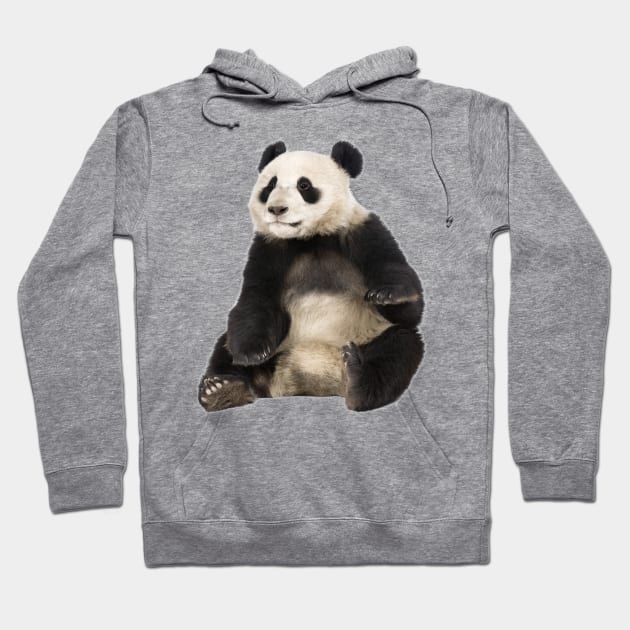 Giant Panda Hoodie by Endangered Animals